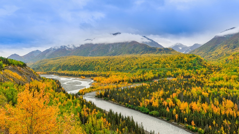 The Best Time to Visit Alaska: A Comprehensive Guide